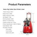 Large Diameter Juicer Household Automatic Juicer